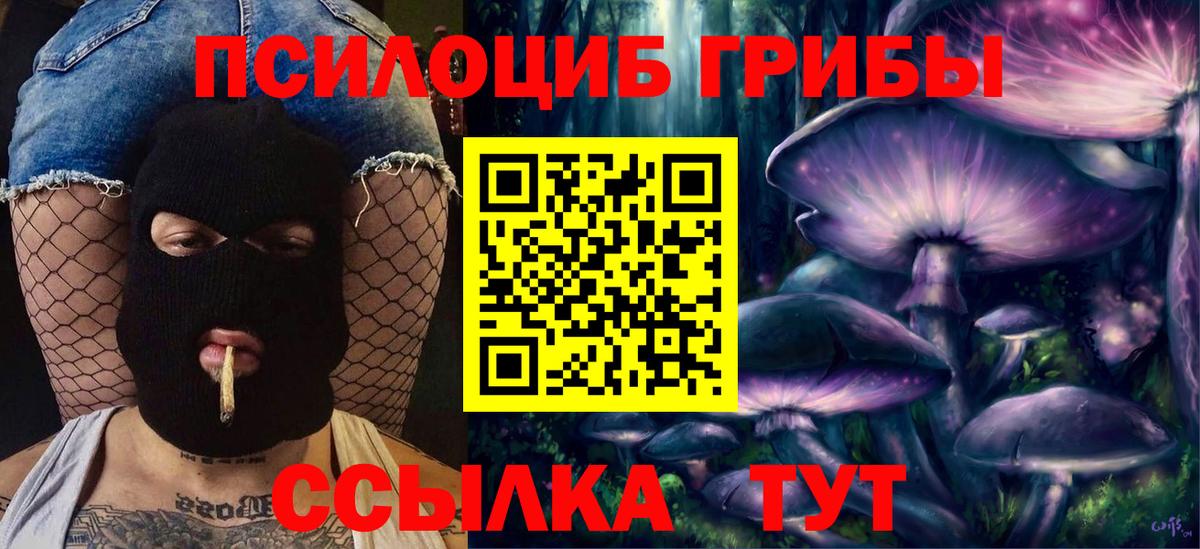 Галлюциногенные грибы MAGIC MUSHROOMS  Вход с VPN  Батайск  Галлюциногенные грибы GOLDEN TEACHER 